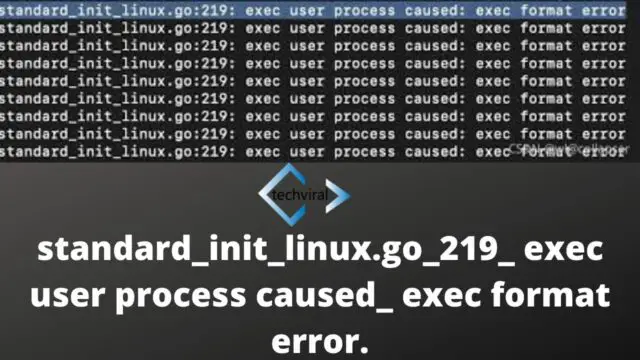 standard_init_linux.go_219_ exec user process caused_ exec format error.