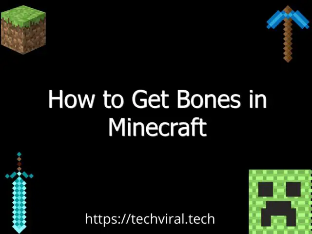 how to get bones in minecraft 6751