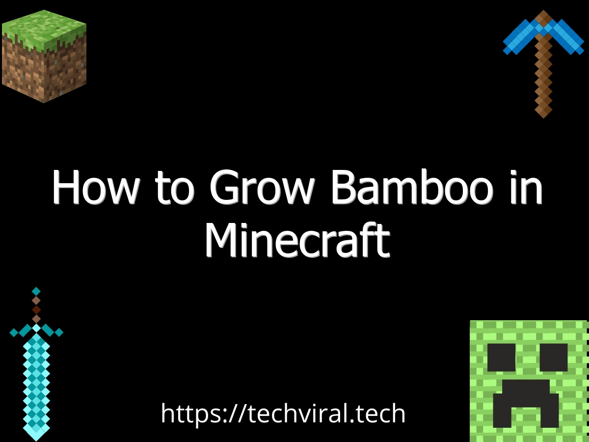 how to grow bamboo in minecraft 6684
