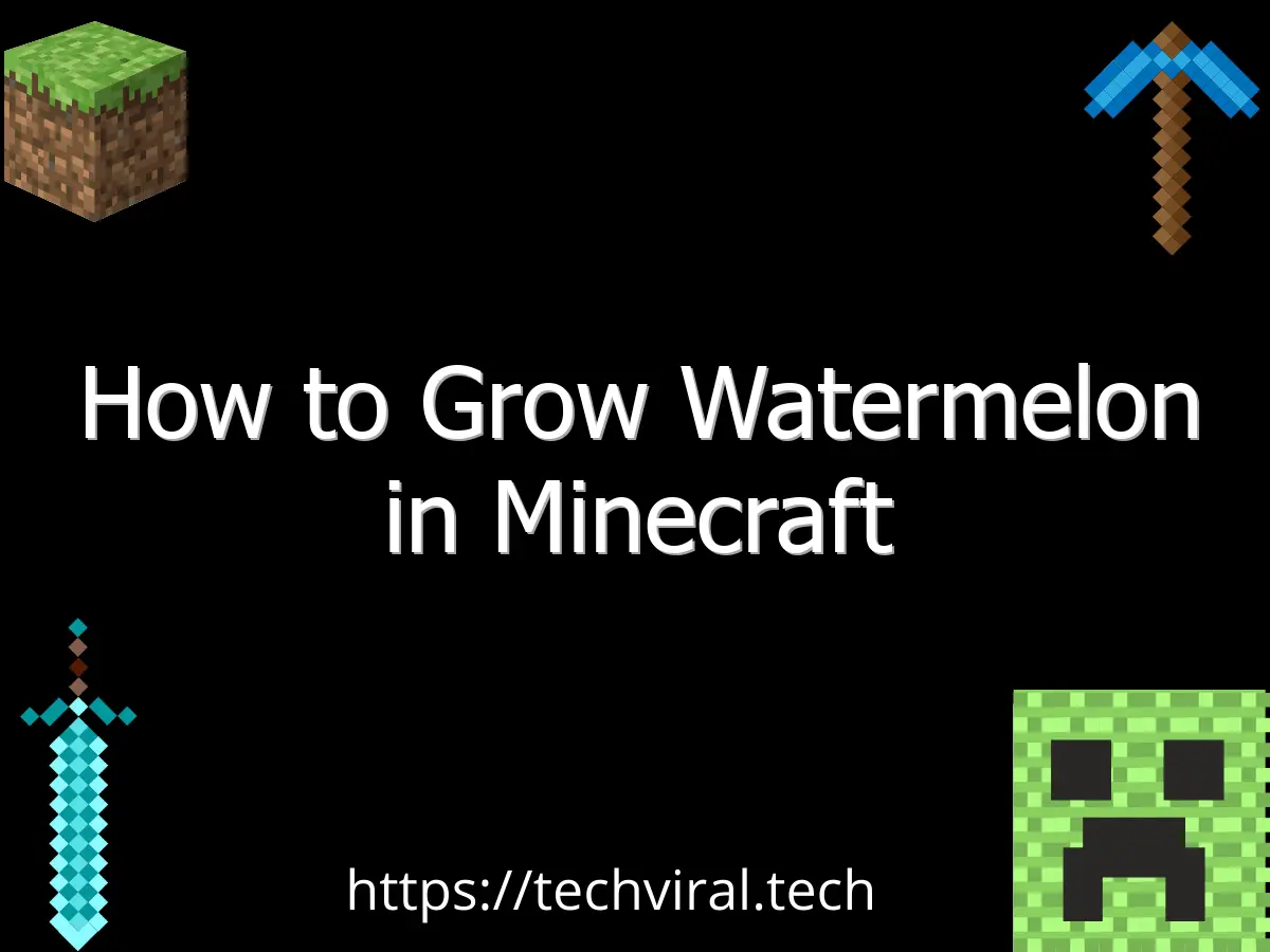 how to grow watermelon in minecraft 6755