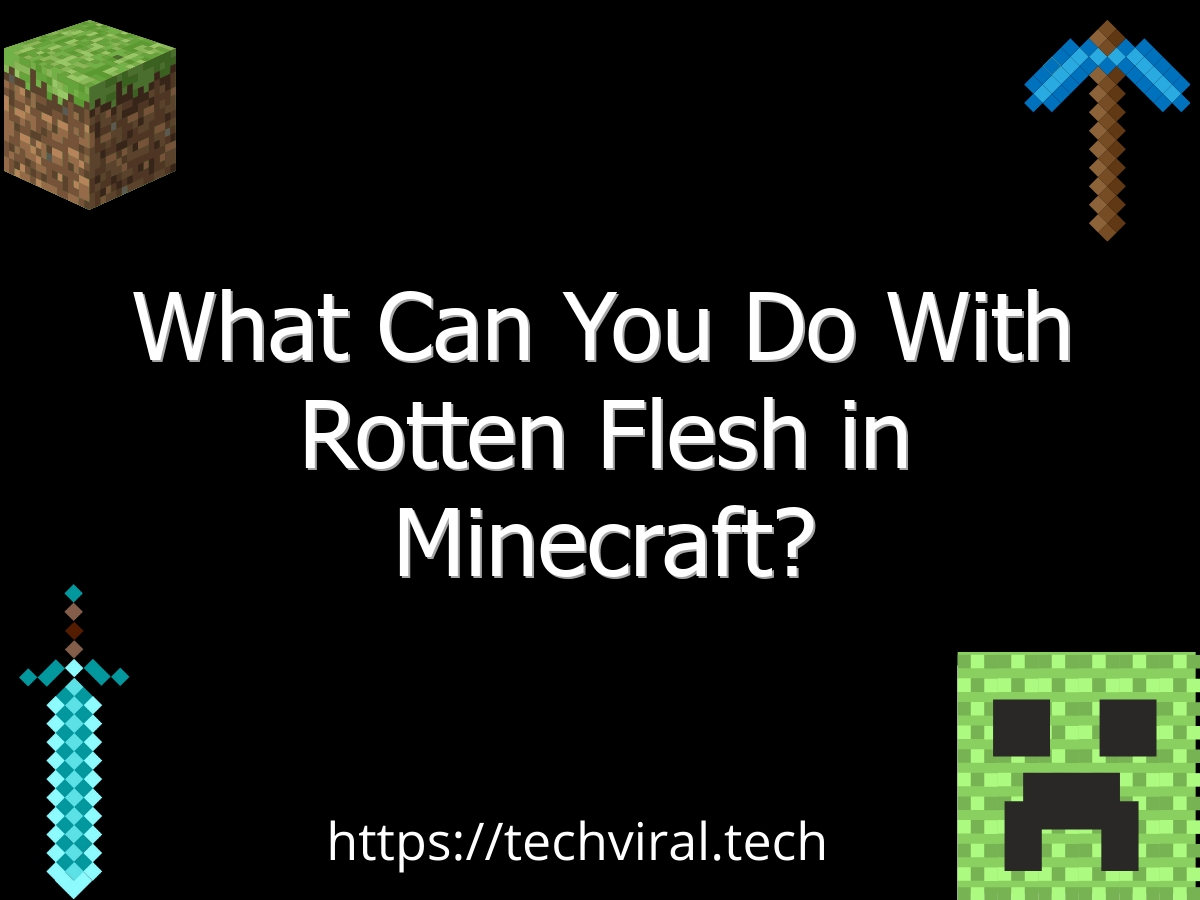 what can you do with rotten flesh in minecraft 6730