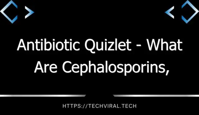antibiotic quizlet what are cephalosporins aminoglycosides and penicillin 9939