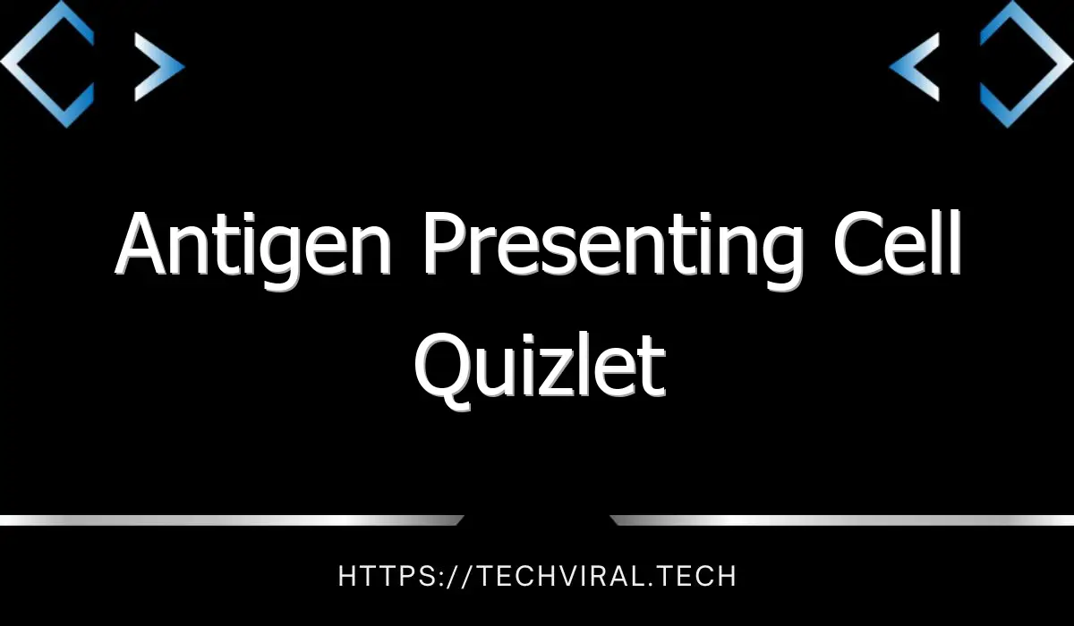 antigen presenting cell quizlet 9941