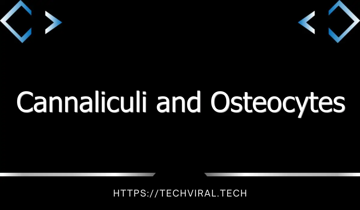 cannaliculi and osteocytes 9864