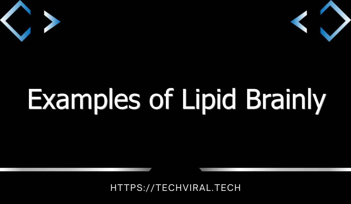 examples of lipid brainly 10040