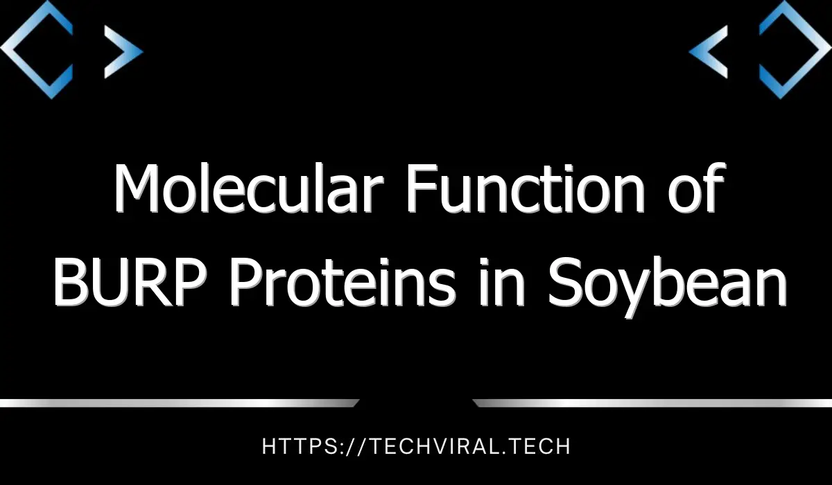 molecular function of burp proteins in soybean 8672