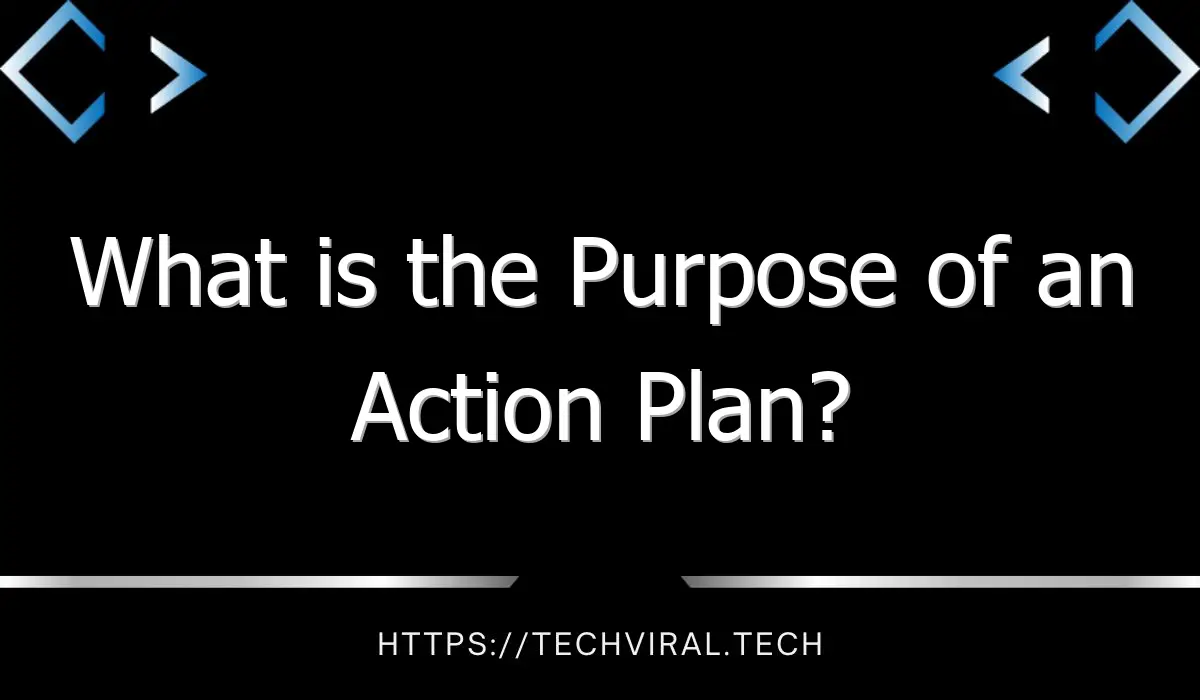 what is the purpose of an action plan 10028