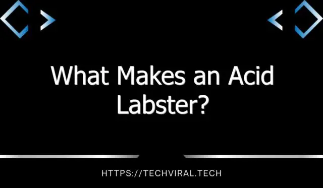 what makes an acid labster 10030