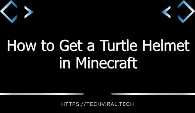 how to get a turtle helmet in minecraft 13392