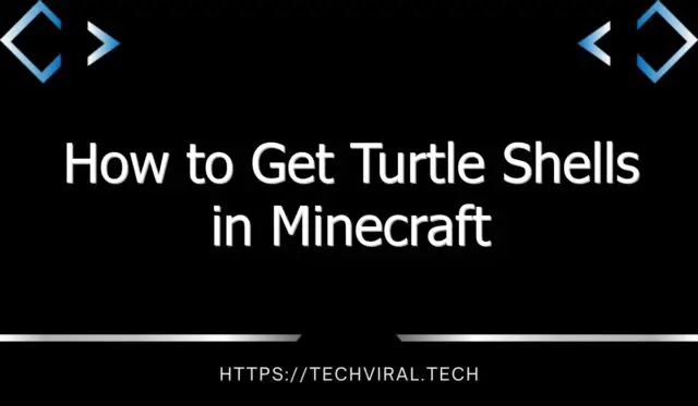 how to get turtle shells in minecraft 13412