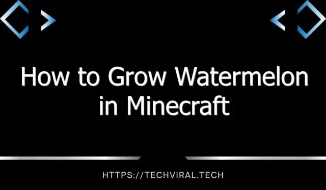 how to grow watermelon in minecraft 2 13414