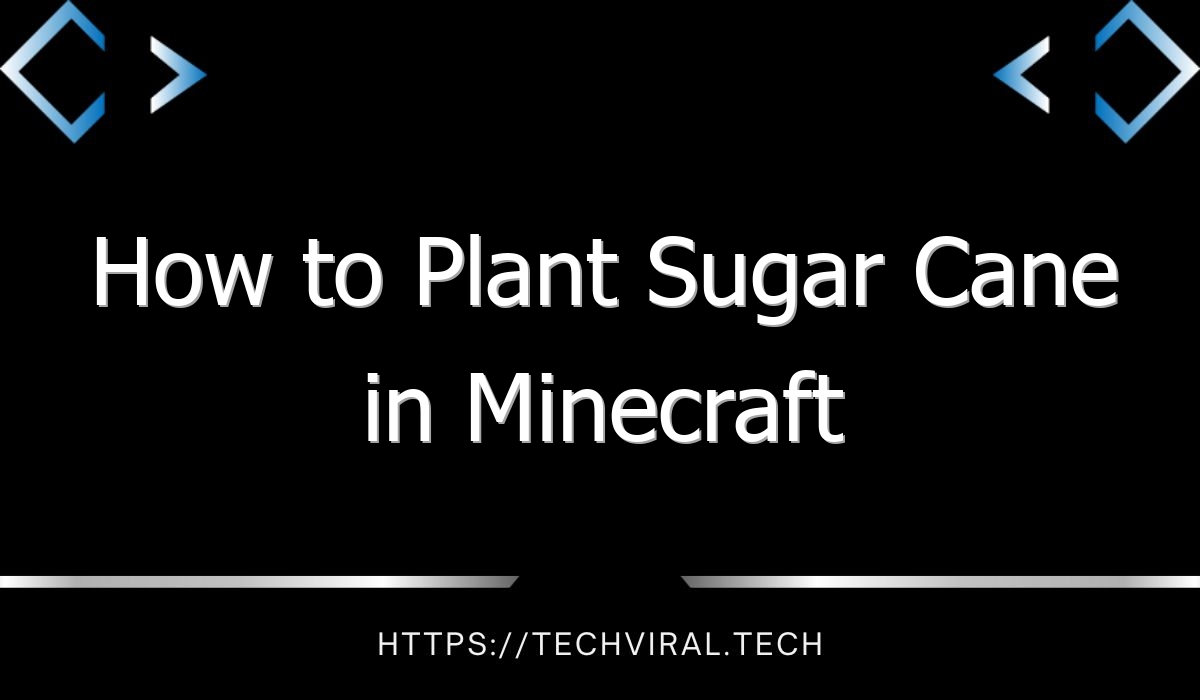 how to plant sugar cane in minecraft 13467