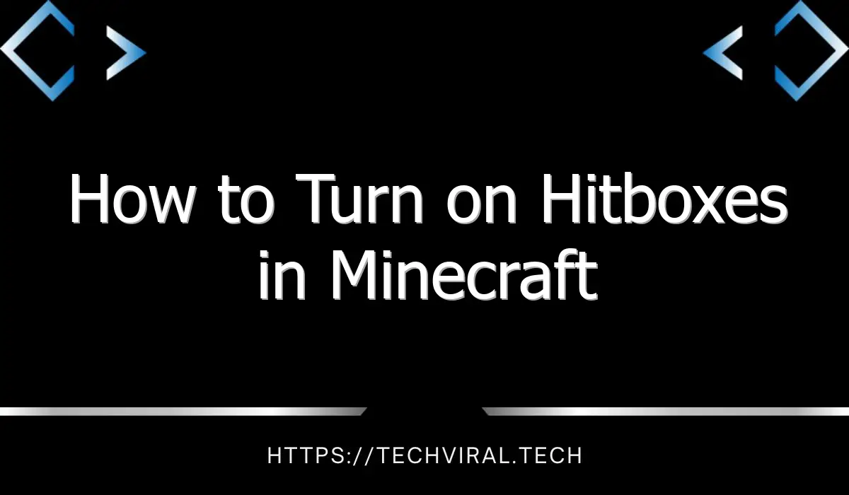 how to turn on hitboxes in minecraft 13483