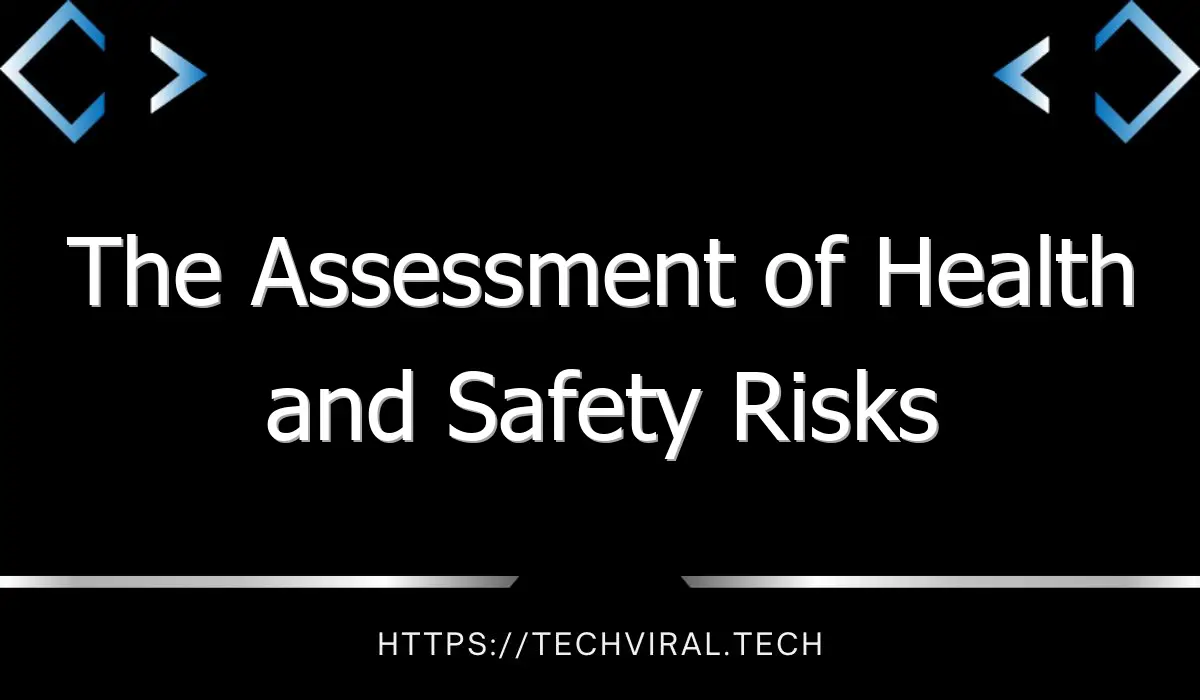 the assessment of health and safety risks 12597