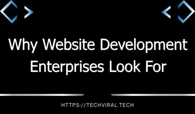 why website development enterprises look for drupal development company 12633