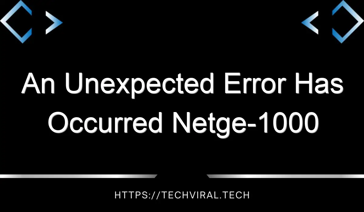 an unexpected error has occurred netge 1000 14808